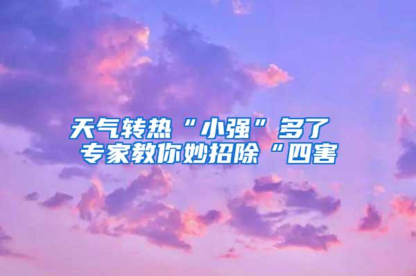 天氣轉(zhuǎn)熱“小強(qiáng)”多了 專家教你妙招除“四害