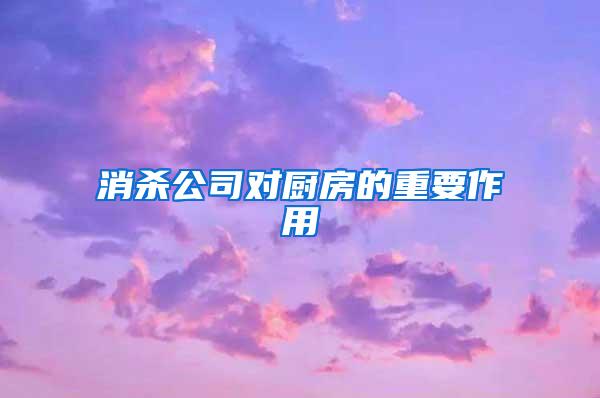 消殺公司對(duì)廚房的重要作用