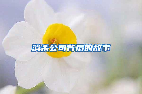 消殺公司背后的故事