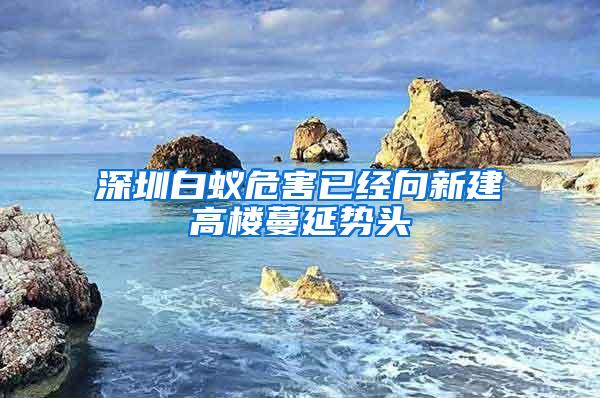 深圳白蟻危害已經(jīng)向新建高樓蔓延勢頭