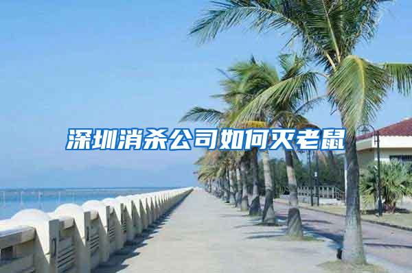 深圳消殺公司如何滅老鼠