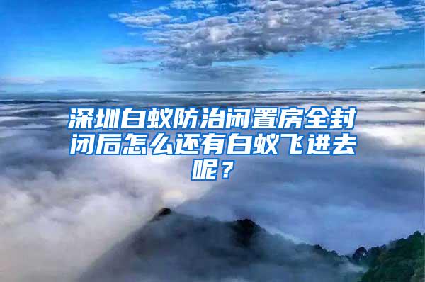 深圳白蟻防治閑置房全封閉后怎么還有白蟻飛進去呢？