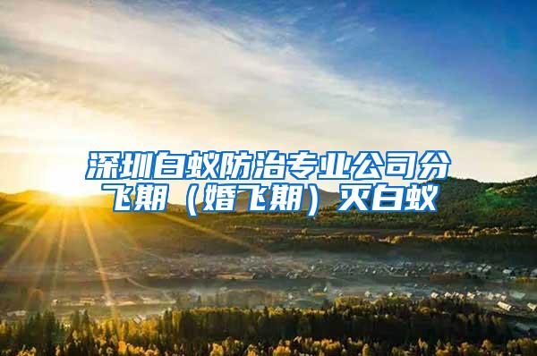 深圳白蟻防治專業(yè)公司分飛期（婚飛期）滅白蟻