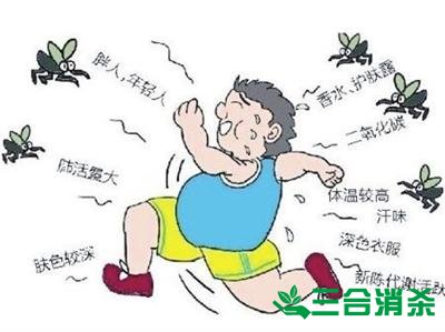 滅蚊方法,滅蚊子方法